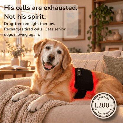 Zoomiepad™ Red Light Therapy Pad for Dogs