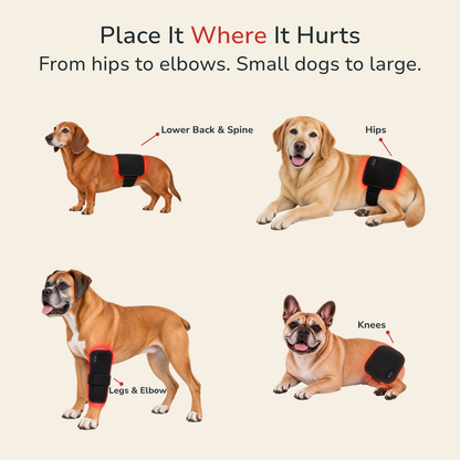 Zoomiepad™ Red Light Therapy Pad for Dogs