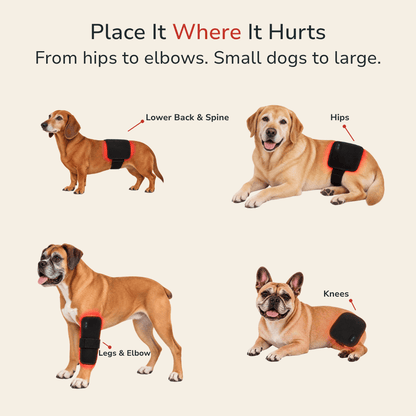 Zoomiepad™ Red Light Therapy Pad for Dogs